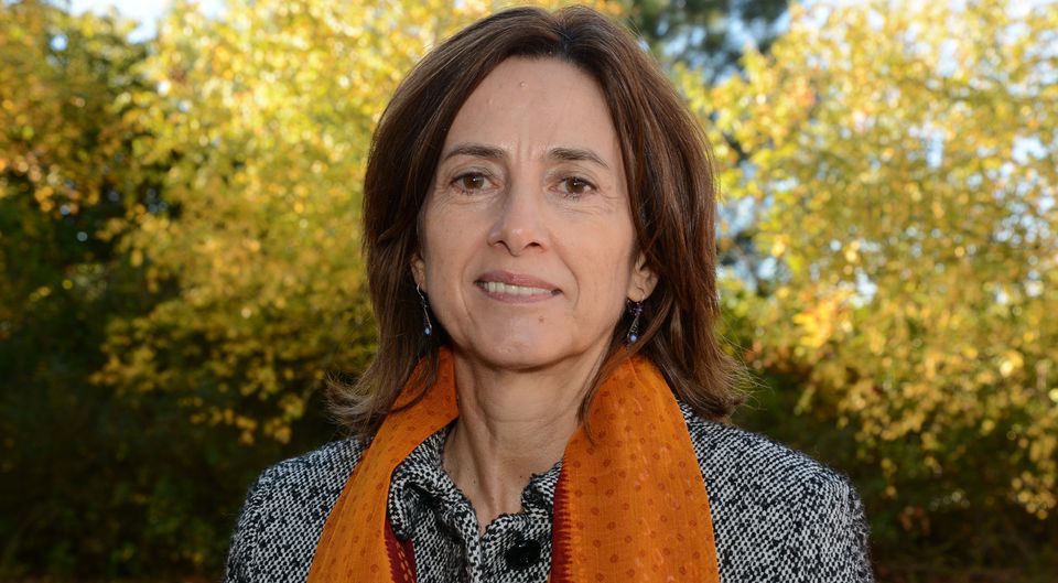 90 segundos de Ciência  (Antena 1) com Lívia Madureira: Laboratório estuda Oportunidades de investimento em regiões de baixa densidade Populacional
